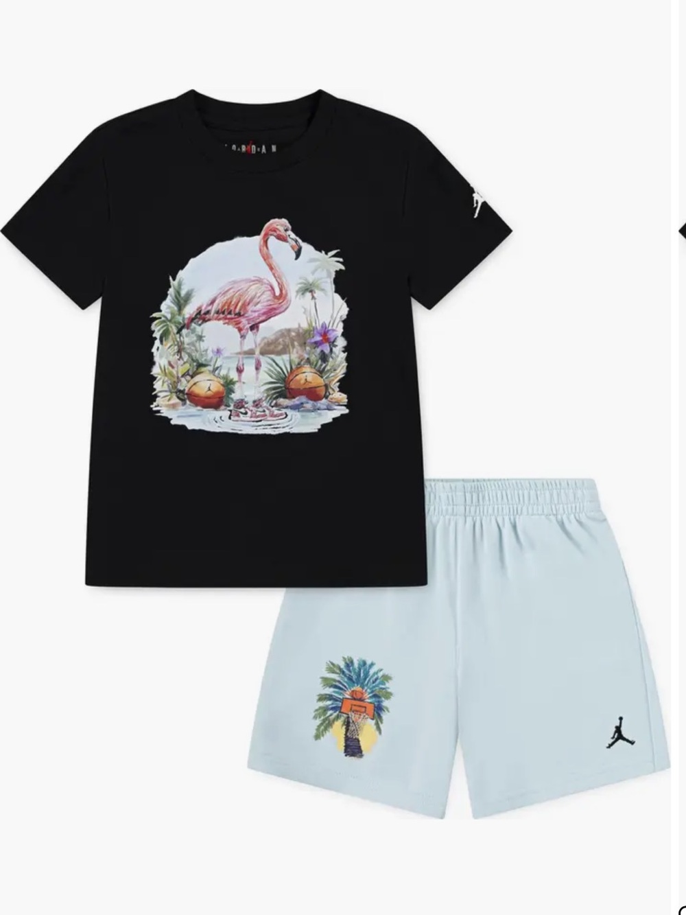 Unisex Kids' Jordan Flamingo Graphic T-Shirt & Knit Shorts Set